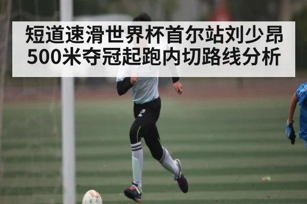 短道速滑世界杯首尔站刘少昂500米夺冠起跑内切路线分析